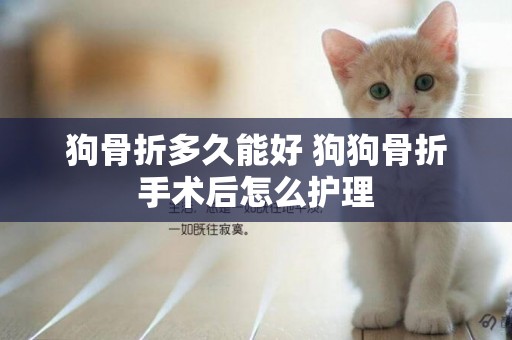 狗骨折多久能好 狗狗骨折手術后怎么護理