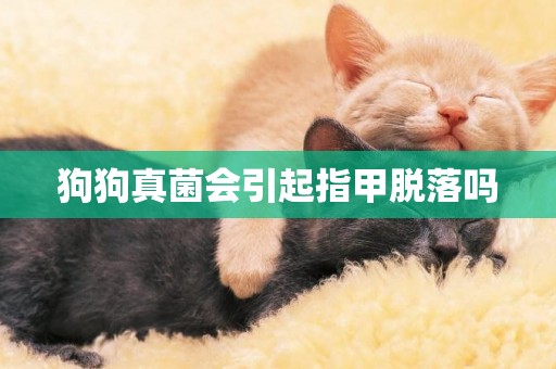 狗狗真菌會引起指甲脫落嗎