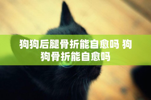 狗狗后腿骨折能自愈嗎 狗狗骨折能自愈嗎
