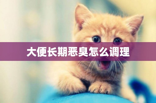 大便長期惡臭怎么調理
