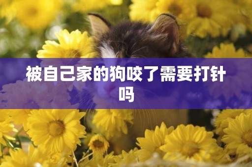 被自己家的狗咬了需要打針嗎