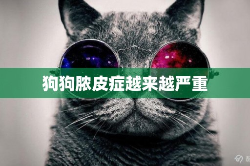狗狗膿皮癥越來越嚴重