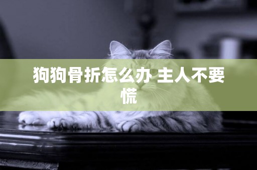 狗狗骨折怎么辦 主人不要慌