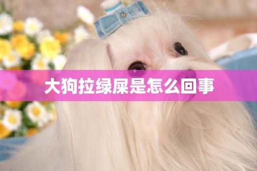大狗拉綠屎是怎么回事