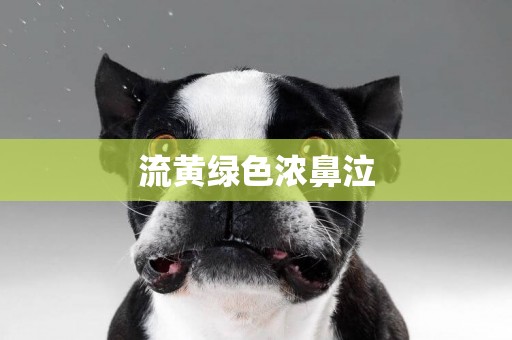 流黃綠色濃鼻泣
