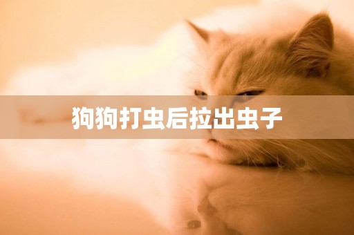 狗狗打蟲后拉出蟲子