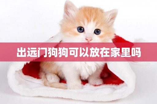 出遠門狗狗可以放在家里嗎