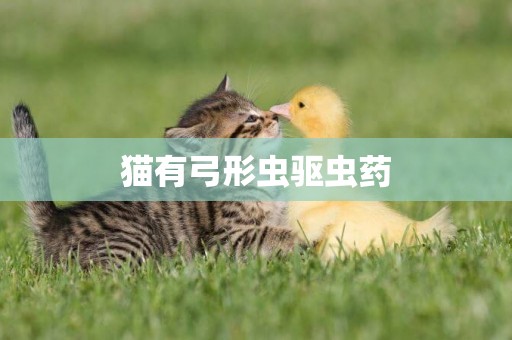 貓有弓形蟲驅蟲藥