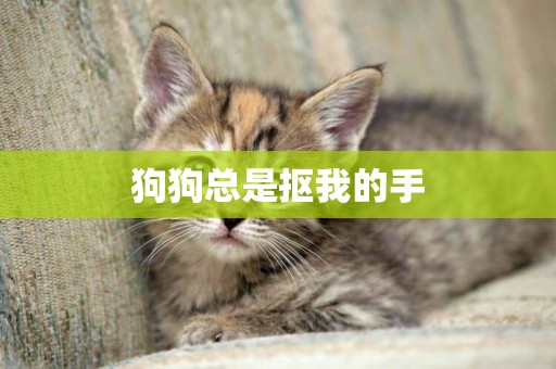 狗狗總是摳我的手