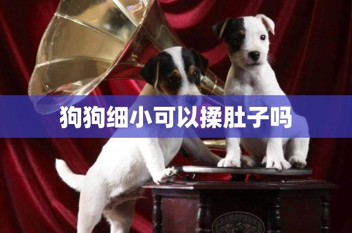 狗狗細小可以揉肚子嗎