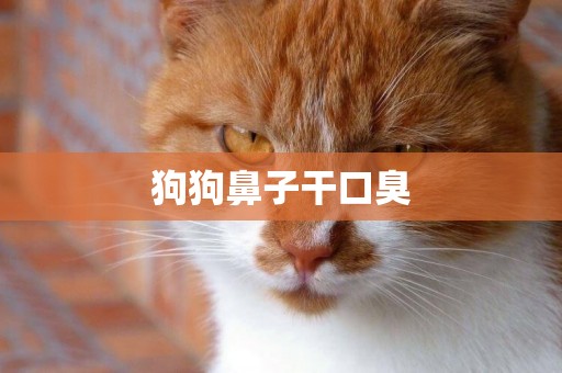 狗狗鼻子干口臭