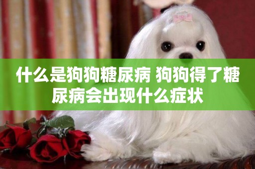 什么是狗狗糖尿病 狗狗得了糖尿病會出現什么癥狀