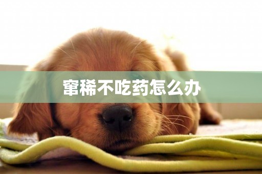 竄稀不吃藥怎么辦