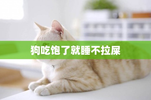 狗吃飽了就睡不拉屎