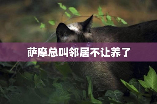 薩摩總叫鄰居不讓養了