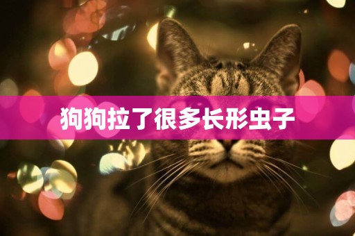 狗狗拉了很多長形蟲子