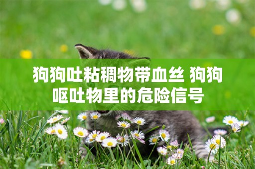 狗狗吐粘稠物帶血絲 狗狗嘔吐物里的危險信號