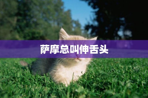 薩摩總叫伸舌頭