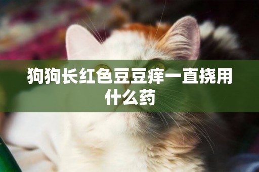 狗狗長紅色豆豆癢一直撓用什么藥