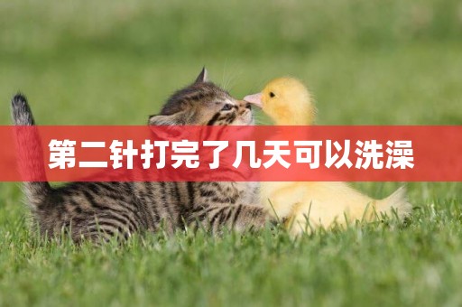第二針打完了幾天可以洗澡