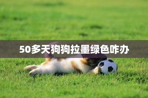 50多天狗狗拉墨綠色咋辦