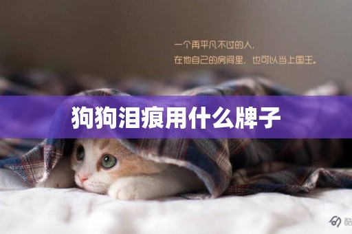 狗狗淚痕用什么牌子