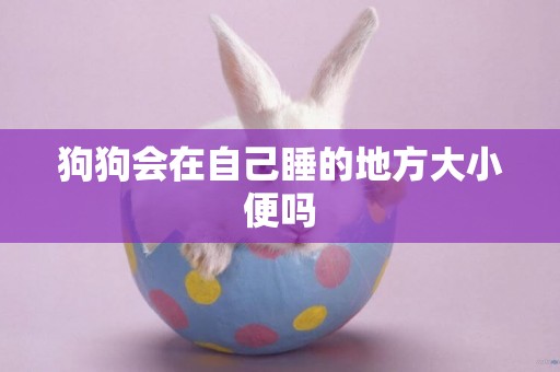 狗狗會在自己睡的地方大小便嗎