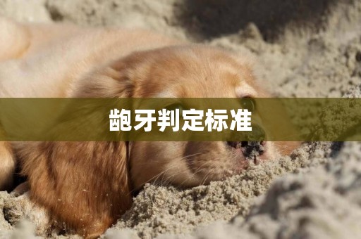 齙牙判定標準
