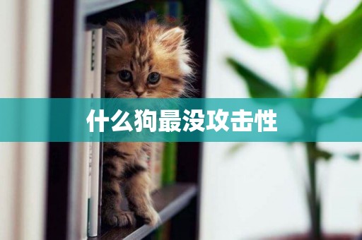 什么狗最沒攻擊性