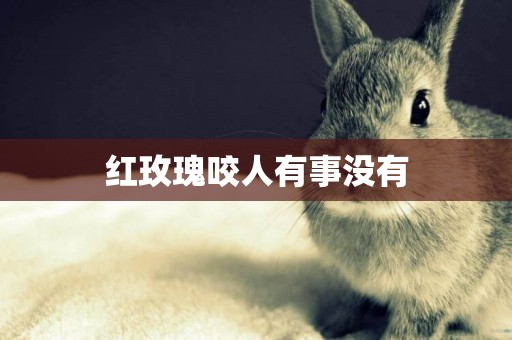 紅玫瑰咬人有事沒有