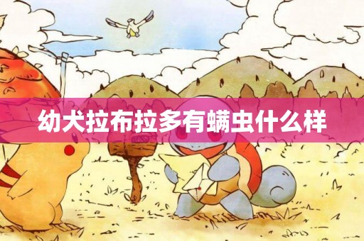 幼犬拉布拉多有螨蟲什么樣