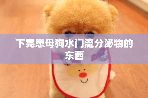 下完崽母狗水門流分泌物的東西