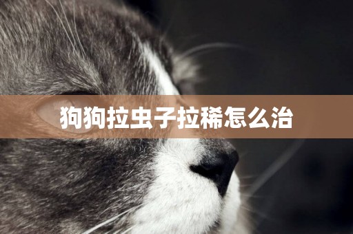 狗狗拉蟲子拉稀怎么治