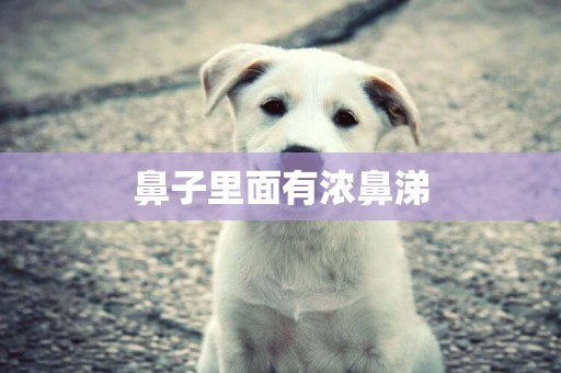 鼻子里面有濃鼻涕