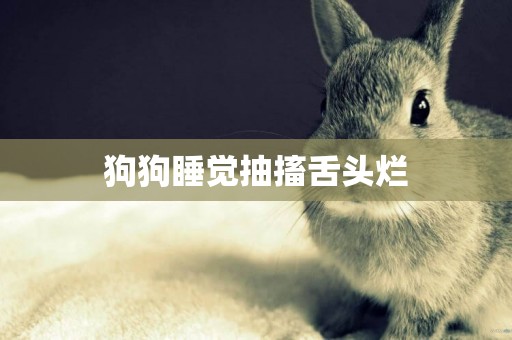 狗狗睡覺抽搐舌頭爛