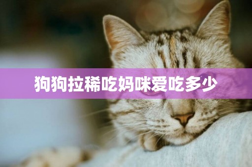 狗狗拉稀吃媽咪愛吃多少