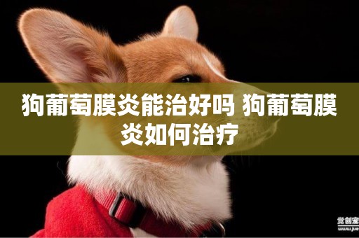 狗葡萄膜炎能治好嗎 狗葡萄膜炎如何治療