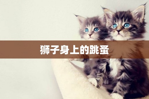 獅子身上的跳蚤