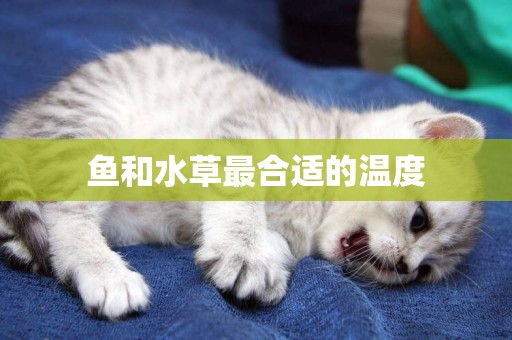 魚和水草最合適的溫度