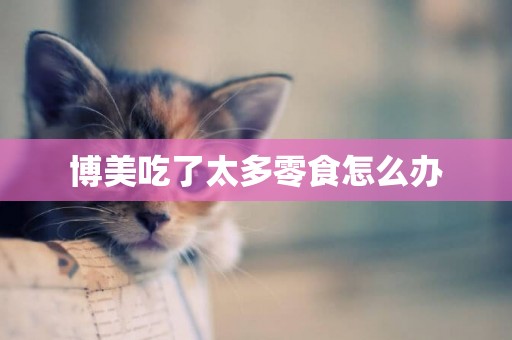 博美吃了太多零食怎么辦
