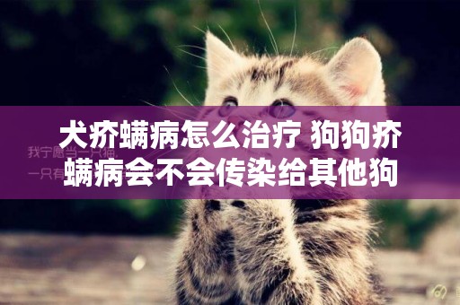 犬疥螨病怎么治療 狗狗疥螨病會不會傳染給其他狗