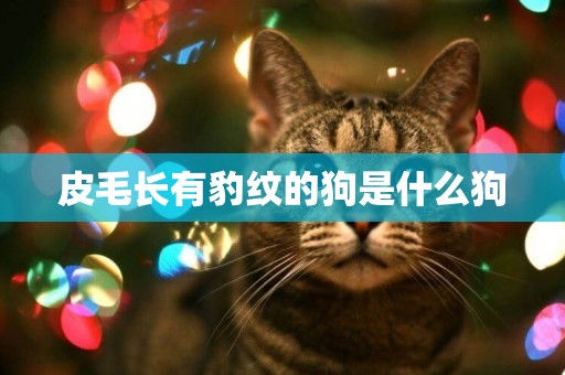 皮毛長有豹紋的狗是什么狗