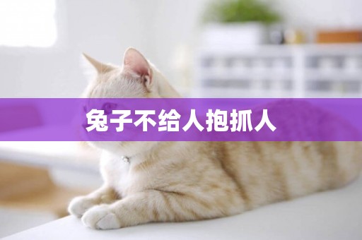 兔子不給人抱抓人