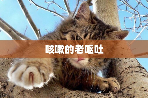 咳嗽的老嘔吐