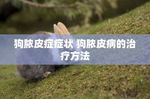 狗膿皮癥癥狀 狗膿皮病的治療方法