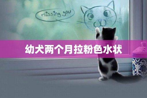 幼犬兩個月拉粉色水狀
