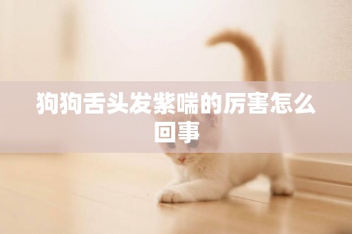 狗狗舌頭發紫喘的厲害怎么回事