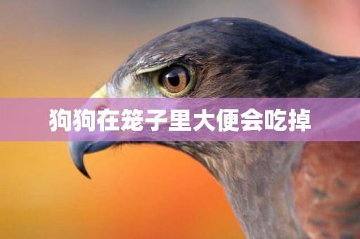 狗狗在籠子里大便會吃掉