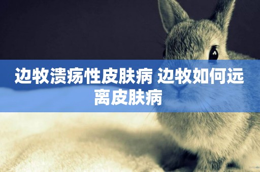 邊牧潰瘍性皮膚病 邊牧如何遠離皮膚病 
