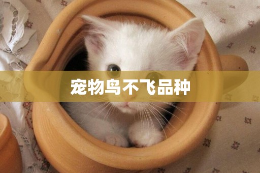 寵物鳥不飛品種